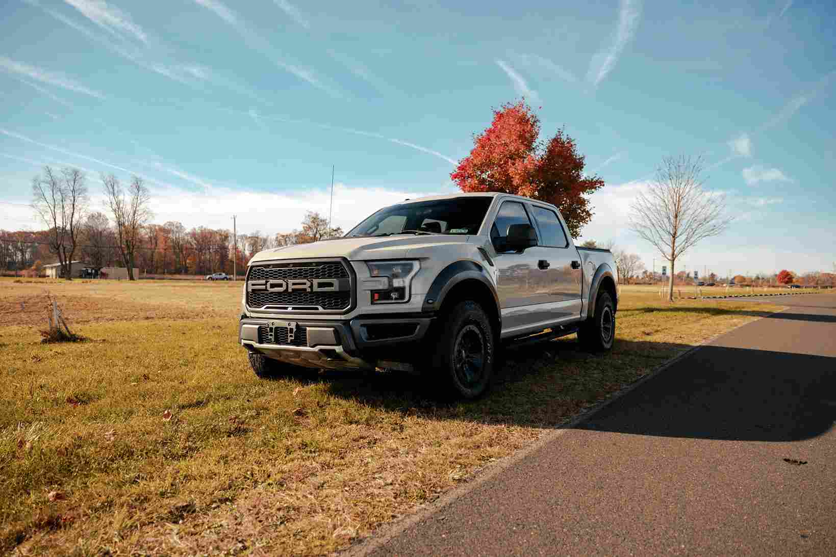 Ford Shelby Trucks